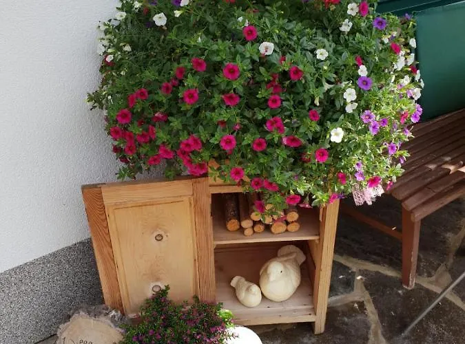 Birkenhof * Тукс